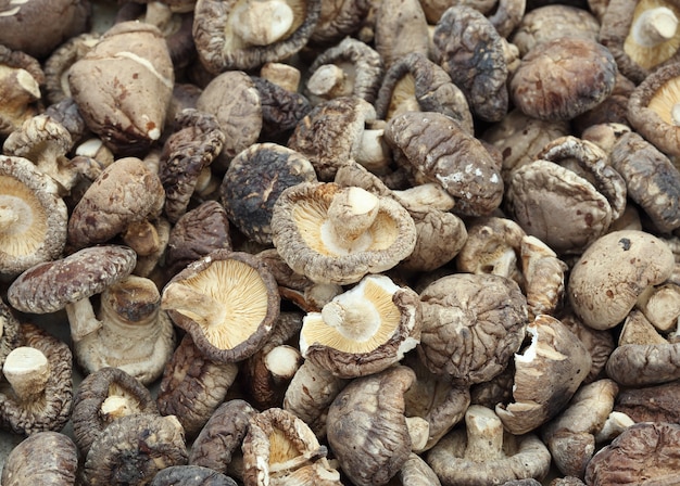 Dried Shiitake Mushrooms