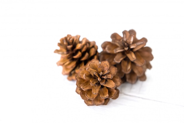 Dried small beautiful natural brown pine cones 