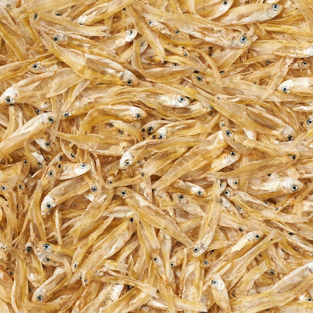 Photo dried small fish in thailand