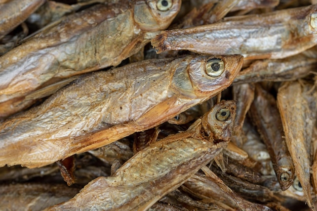 Dried smelt fish - European smelt (Osmerus eperlanus) - pet food