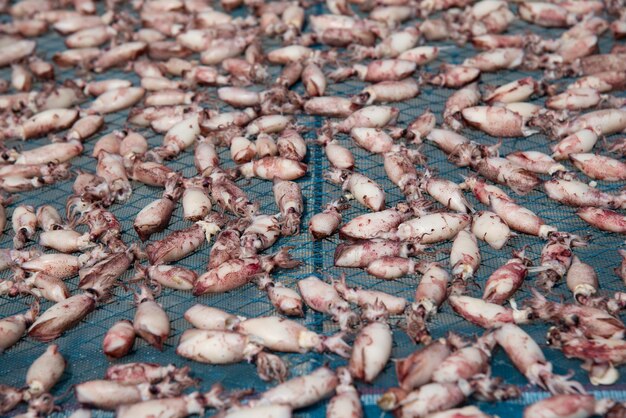 Dried squid or octopus at Thai seafood market