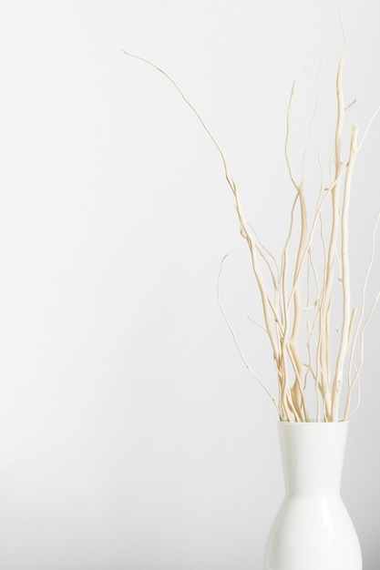 Photo dried stems in vase on white background