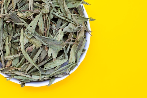 Dried stevia on yellow background