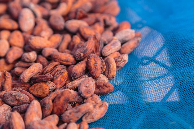 Dried and sun-dried cocoa bean background