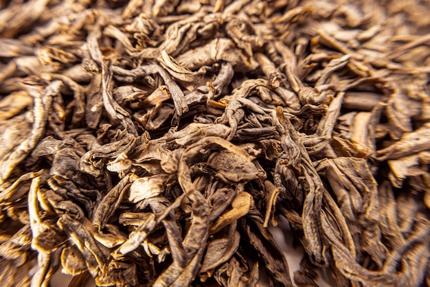 Photo dried tobacco close-up, large rolled tobacco leaves. macro photography