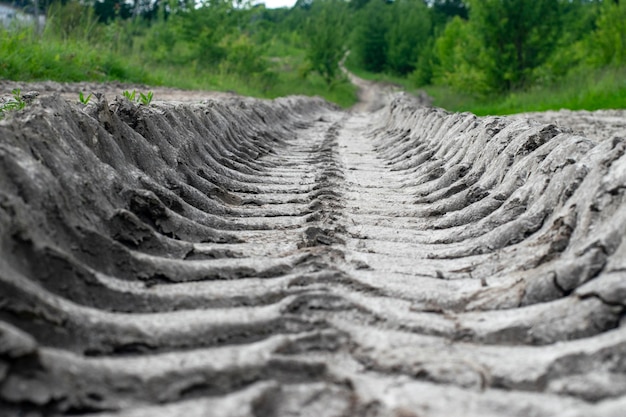 Dried track from a car tread in the forest ecological problem\
of temperature increase and drought