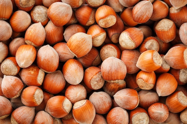Dried unshelled hazelnuts seeds of Whole nuts