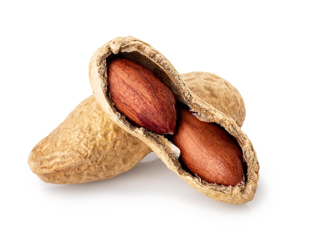 dried unshelled peanuts isolated on white background