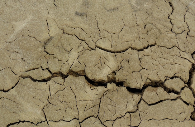 Dried Up Sand Top View Texture