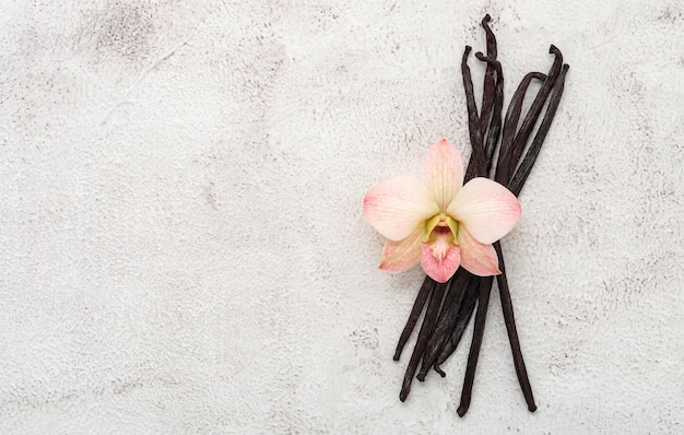 Dried vanilla sticks and orchid flower set up on white concrete background