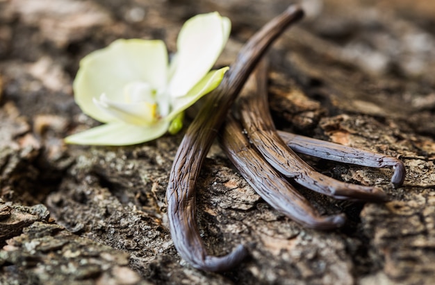 Dried vanilla sticks and vanilla orchid on wooden table. Close-up.