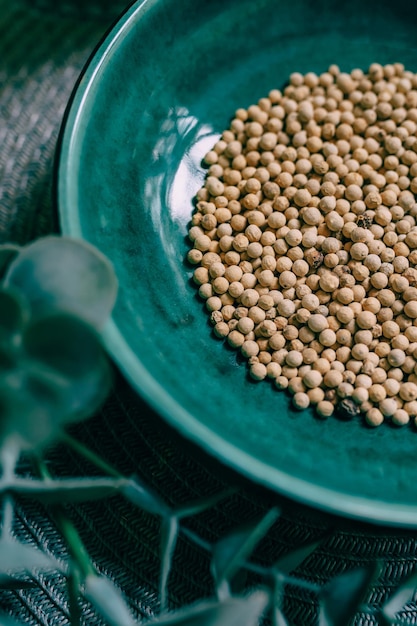 Dried white peppercorns in a ceramic bowl on a background of green leaves Spices and condiments for cooking