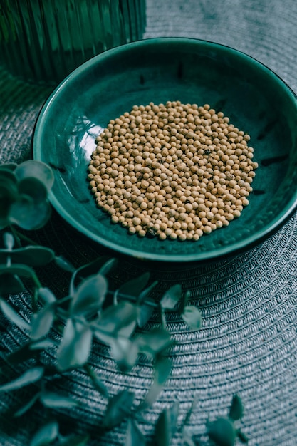 Dried white peppercorns in a ceramic bowl on a background of green leaves. Spices and condiments for cooking