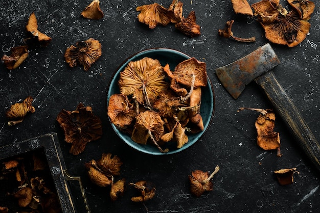 Dried wild mushrooms on a black stone background Autumn food Top view Free space for text