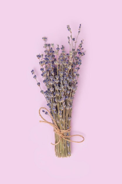 Premium Photo  Dry lavender flowers on the pink background. location  vertial.