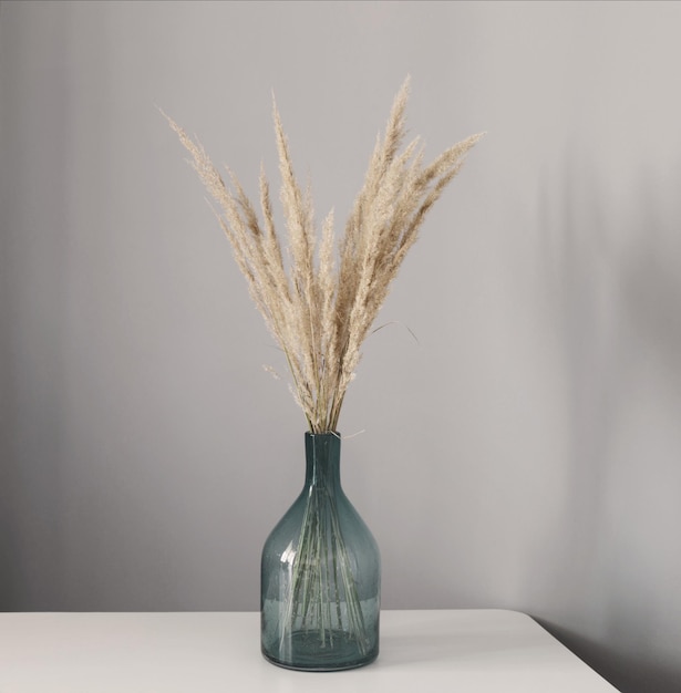 Dried yellow decorative cereals in glass vase on  gray background