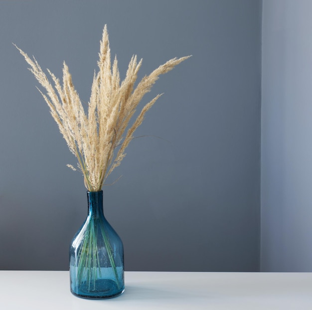 dried yellow decorative cereals in glass vase on  white table