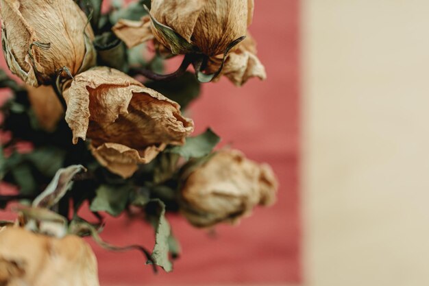 Dried yellow rose flowers on the bar at the window