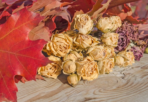 Dried yellow roses