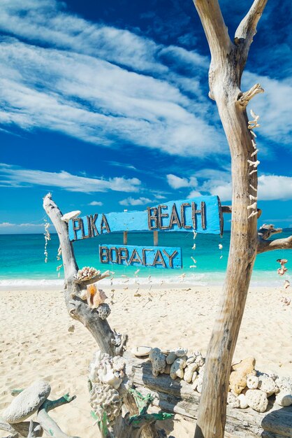 Photo driftwood on beach against sky