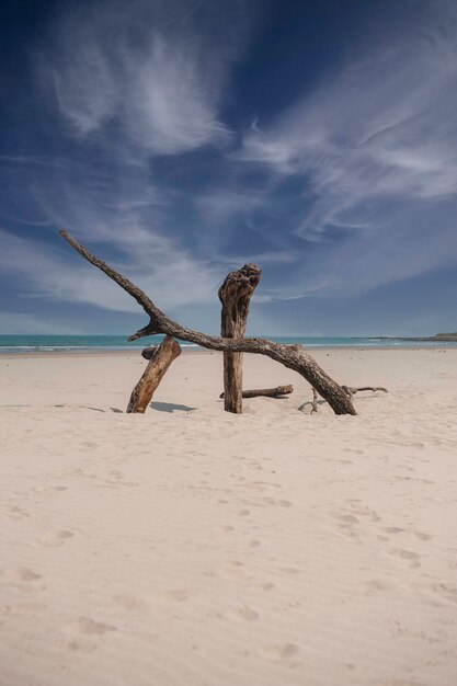 Photo driftwood on beach against sky