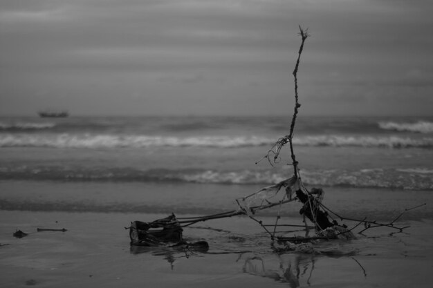 Photo driftwood on beach against sky