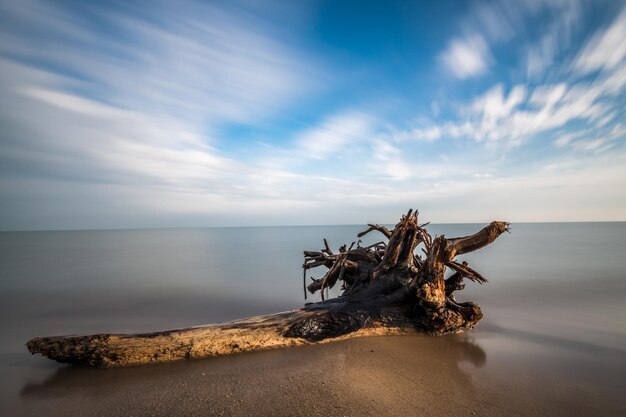 Photo driftwood on beach against sky