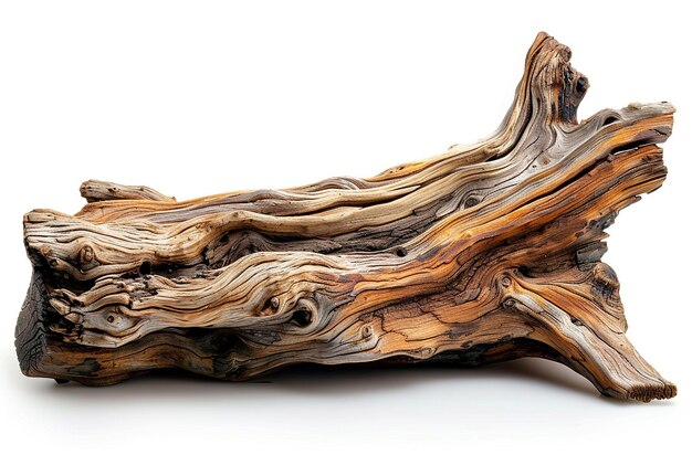 Driftwood isolated on white background with clipping path