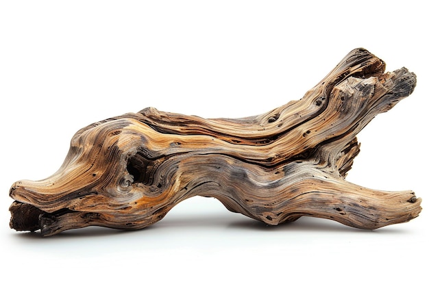 Driftwood isolated on white background with clipping path