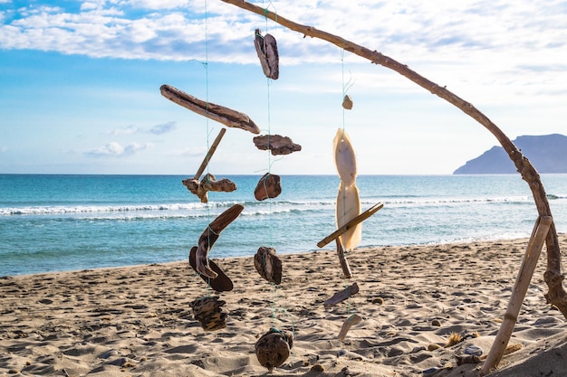 写真 空に向かって浜辺に漂う木