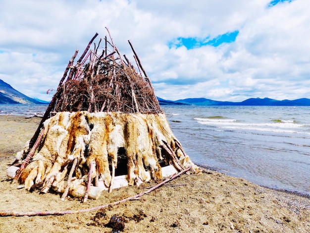 Driftwood op het strand tegen de lucht