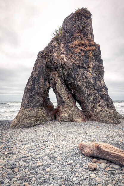 Driftwood op rots in de zee tegen de lucht