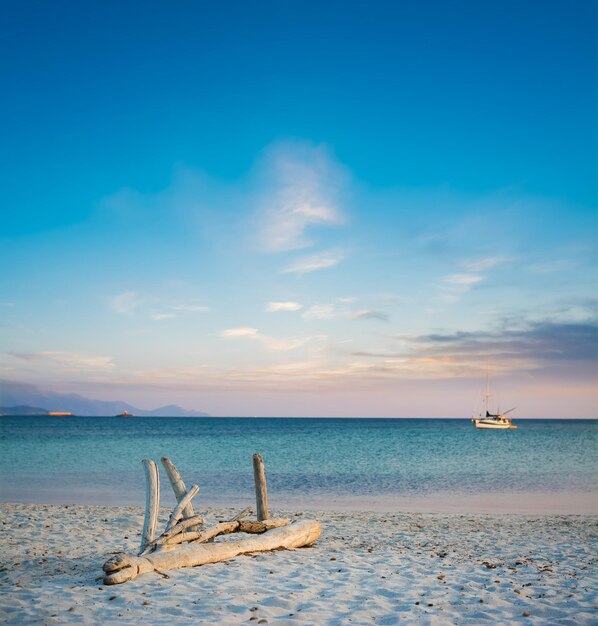 Driftwood on a sandy beach at sunset