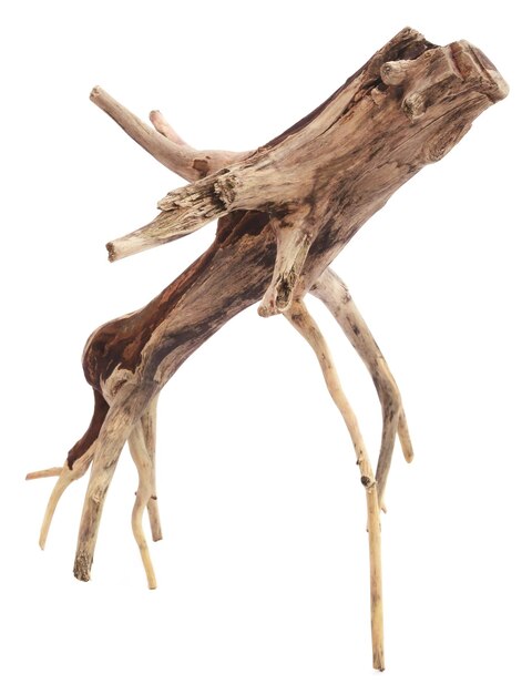 Driftwood over white background