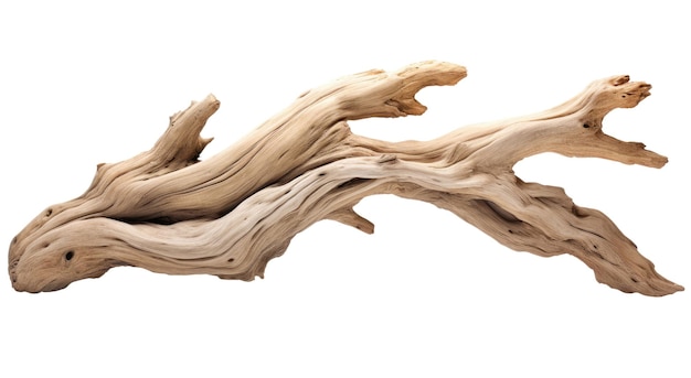 Driftwood