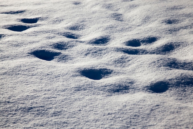 drijft af na sneeuwval