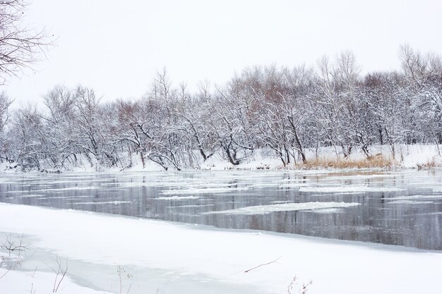 drijvende grootvader op de winterrivier, winterlandschap, de lenteoverstromingen