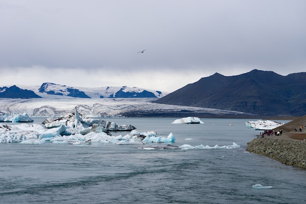 Drijvende ijsbergen in de gletsjerlagune van jokulsarlon, ijsland