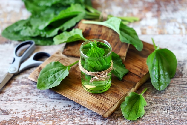 Drink with the leaves of plantain.