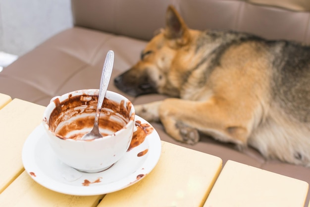 Drinking a cup of coffee on the background of a dog sleeping on\
the couch a humorous concept of fatigue after coffee a nap