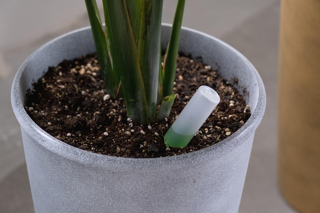 Concime a goccia per piante in vaso accelerazione della crescita cura delle piante in casa una bottiglia di liquido viene inserita nel terreno in una pentola