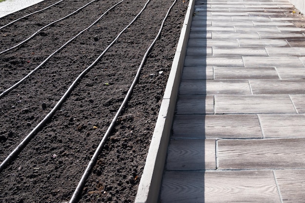 Drip irrigation system in planting bed. Empty bed with drip irrigation system. Agriculture concept.