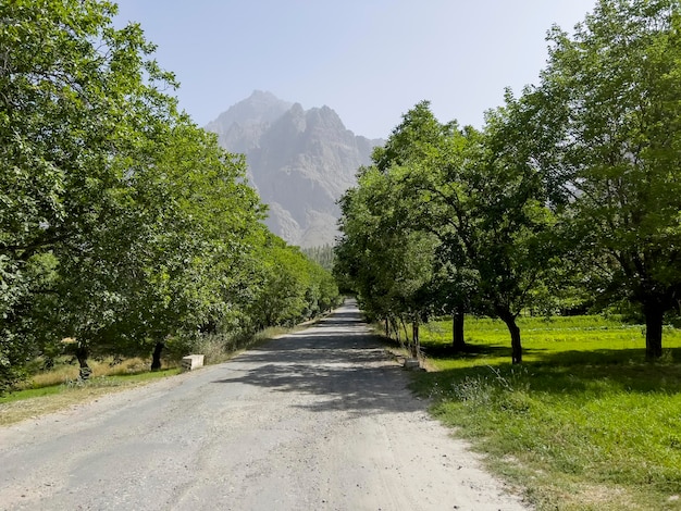 The drive through the orchards