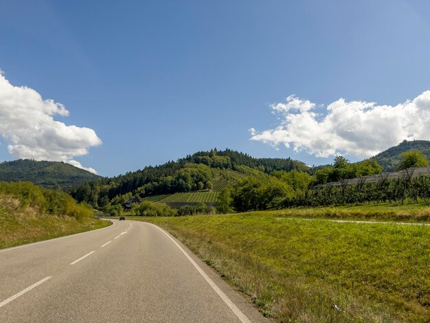 Drive towards the Black Forest at the apple orchards and vineyards