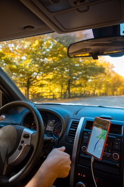 Driving car autumn forest on road side navigation on the phone