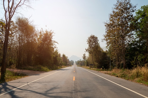 Driving on an empty asphalt road through with tree.