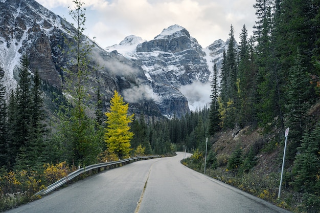 Driving on highway with rocky mountains in autumn forest at Moraine Lake