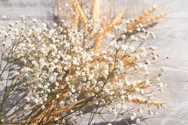 Droge aartjes van roggezaden Zaadcultuur en witte bloem van gipskruid