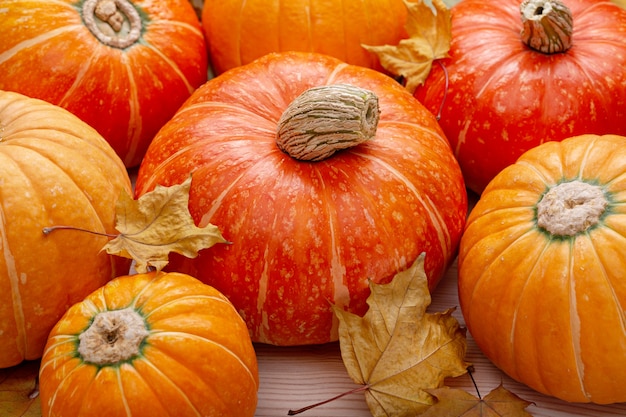 droge esdoornbladeren en rijpe oranje pompoenen.