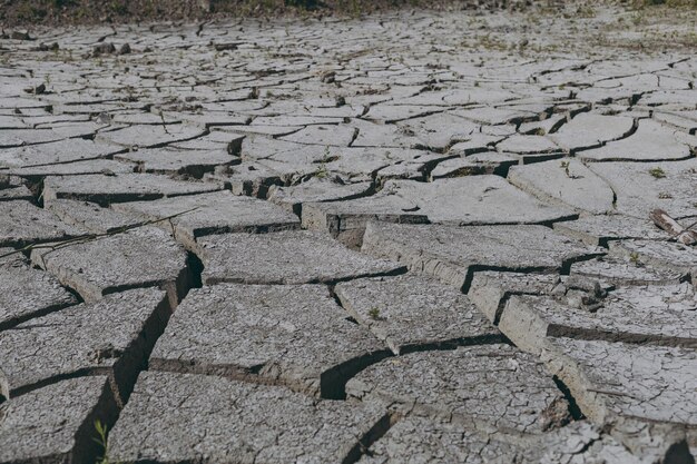 Droge gebarsten aarde met groene planten